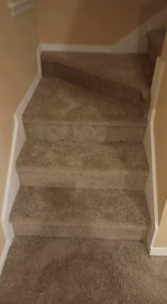 New carpet installed on a staircase in Savannah Quarters, Pooler GA