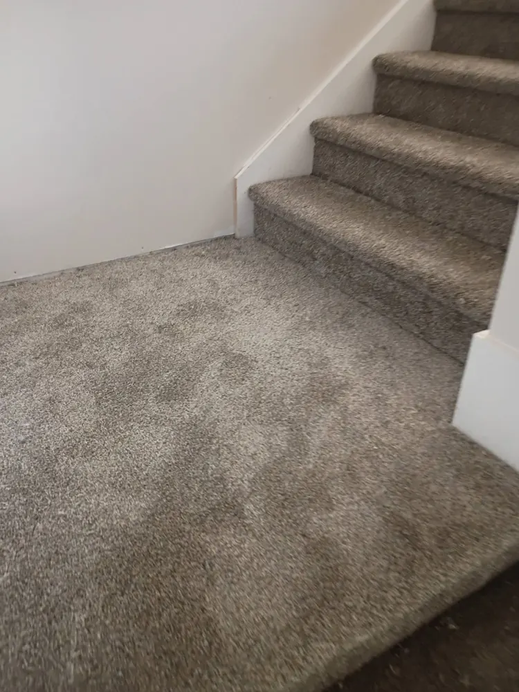 New carpet installed on stairs in Lost Plantation, Rincon GA